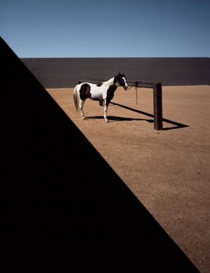 A horse at Tom Ford home in Sante Fe - GQ Australia photoshoot.jpg